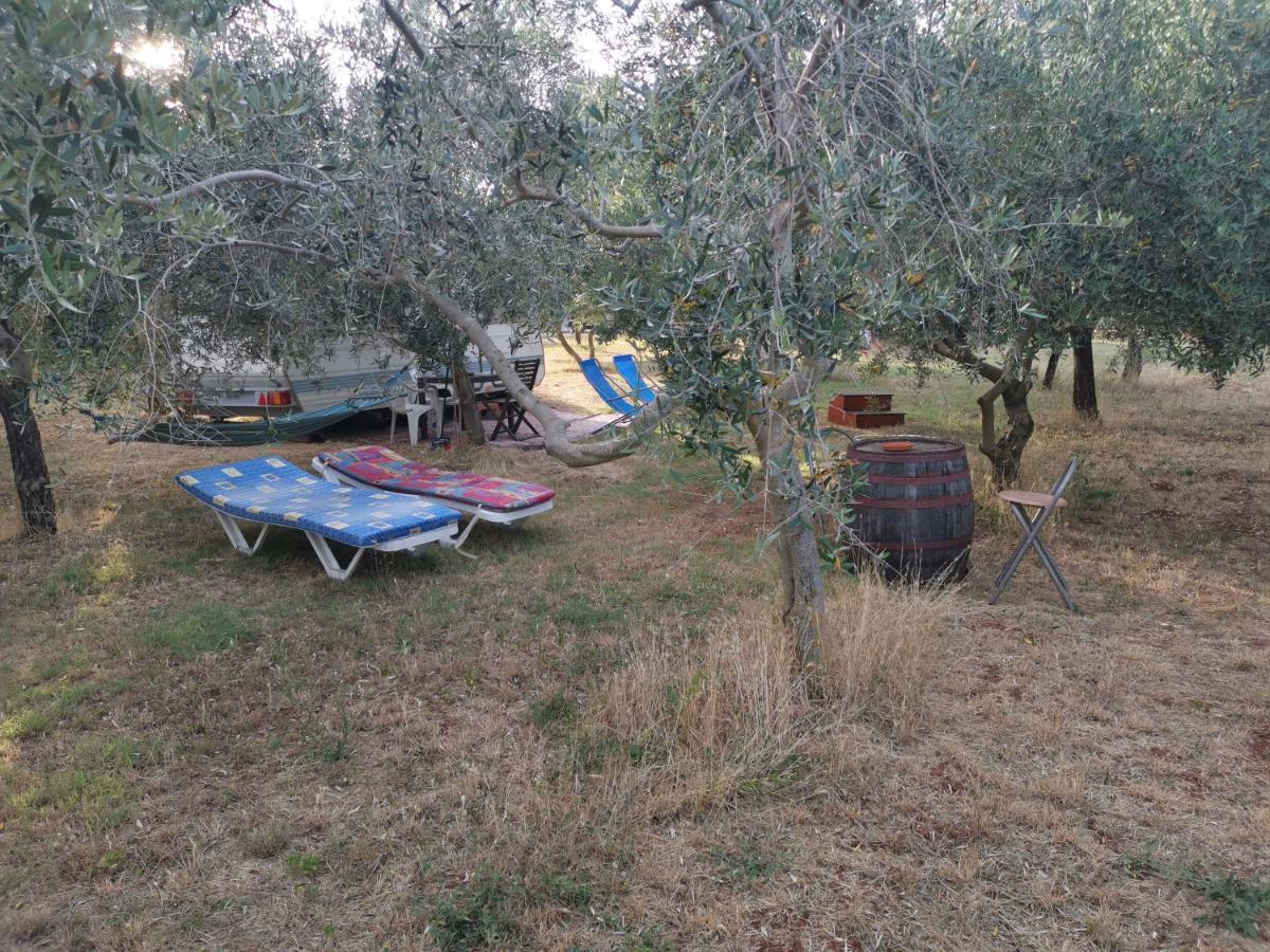 Camping Volme بنجول المظهر الخارجي الصورة