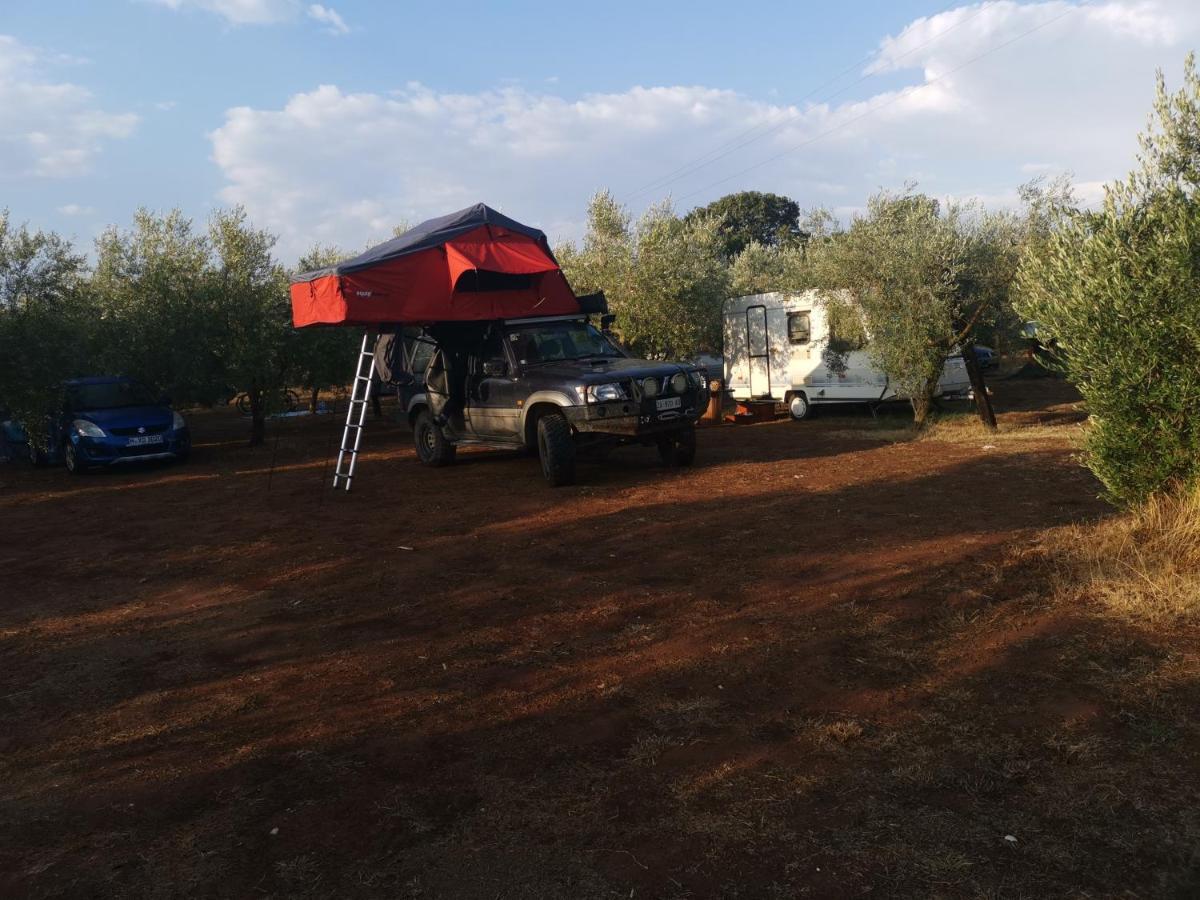 Camping Volme بنجول المظهر الخارجي الصورة